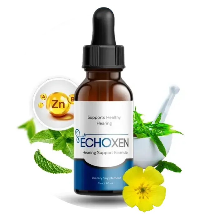 EchoXen official